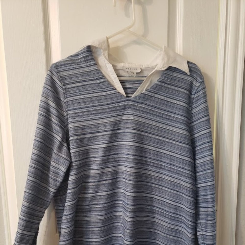 Avenue White Collar and Sleeve Blue Striped Shirt